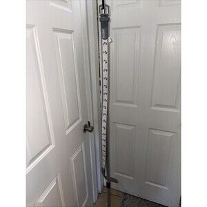 Grey Belt With Palm Trees Size Large